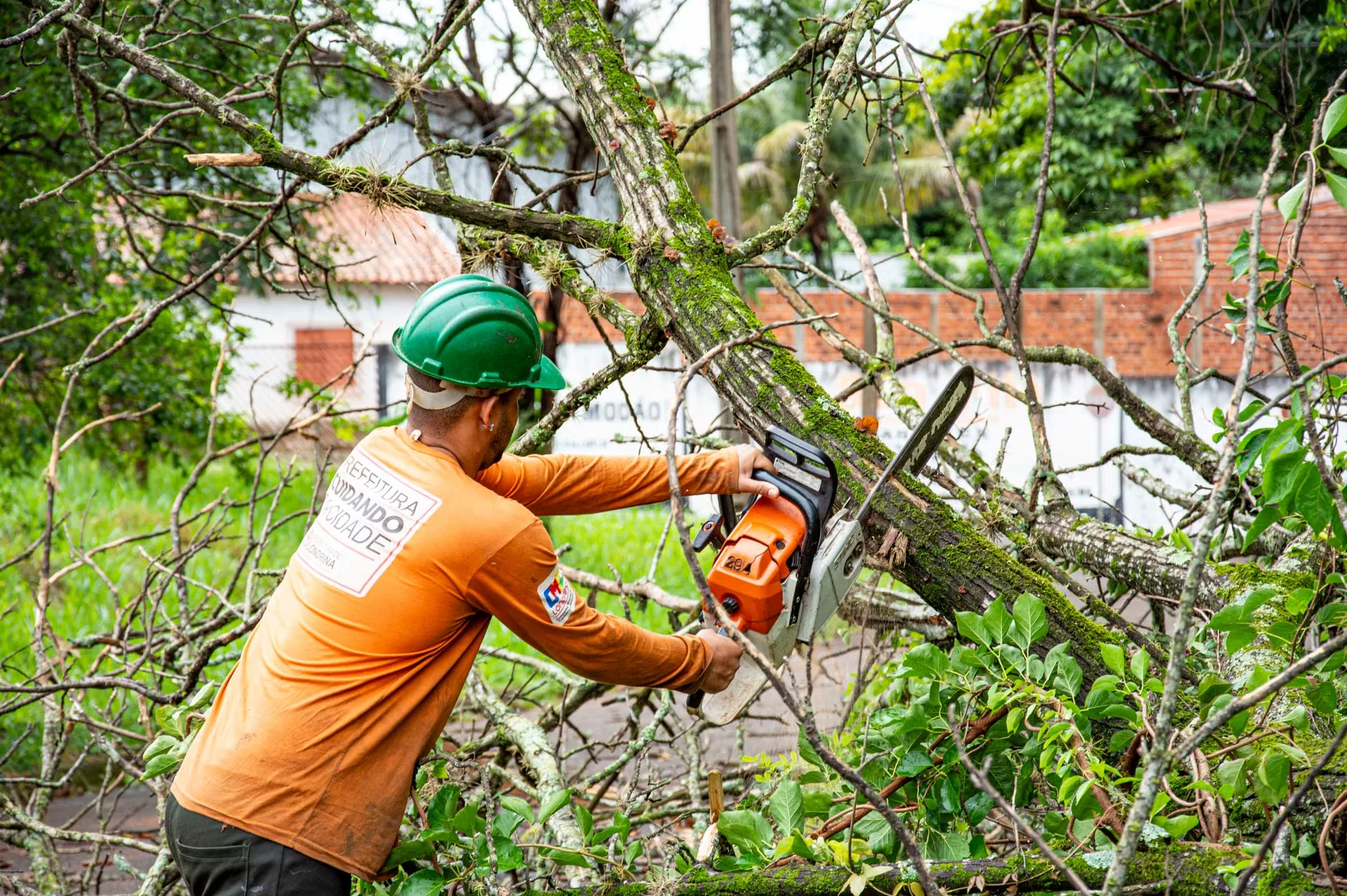 Forest Mulching & Brush Clearing in Birmingham, AL